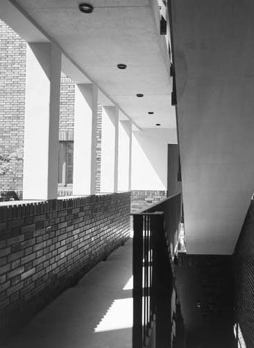Photograph: Roman Ray